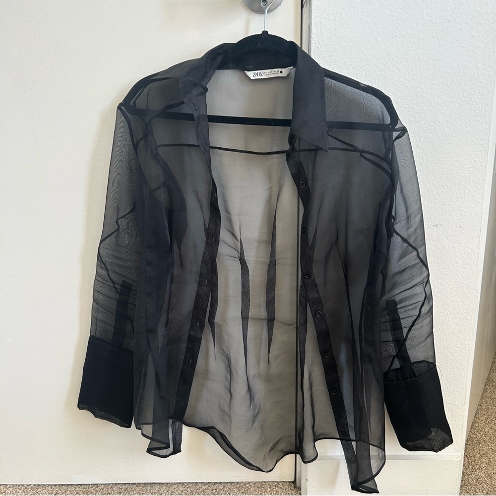 Zara sheer blouse